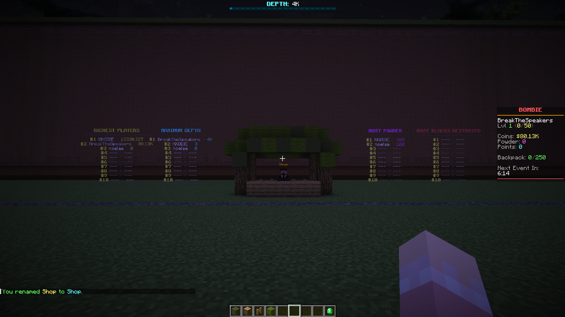 Project